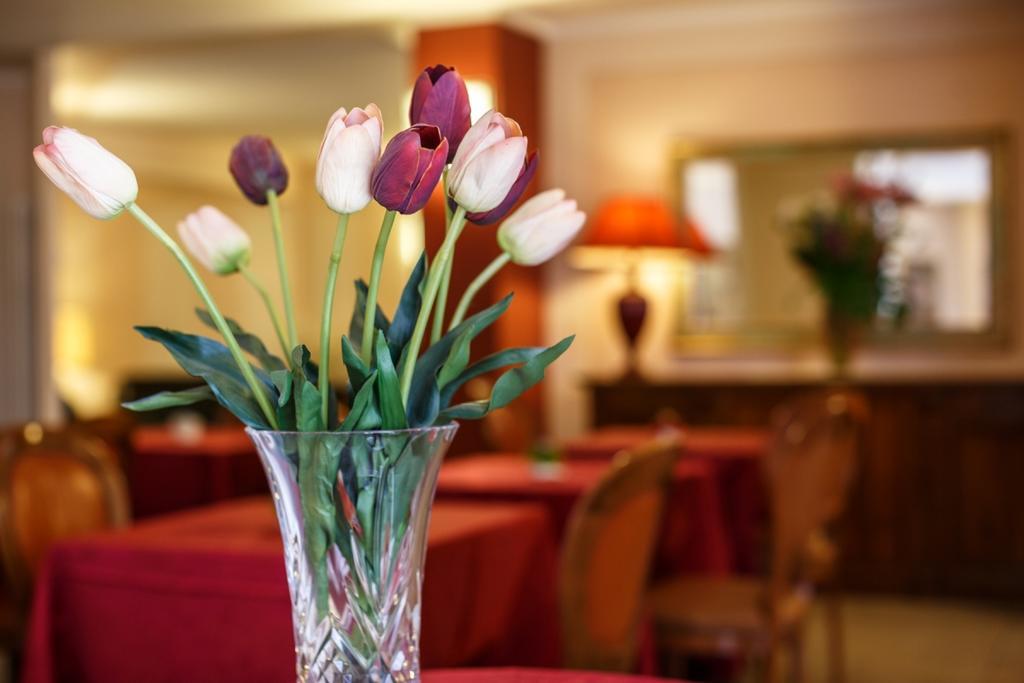 Hotel Daniel Basiano Zewnętrze zdjęcie